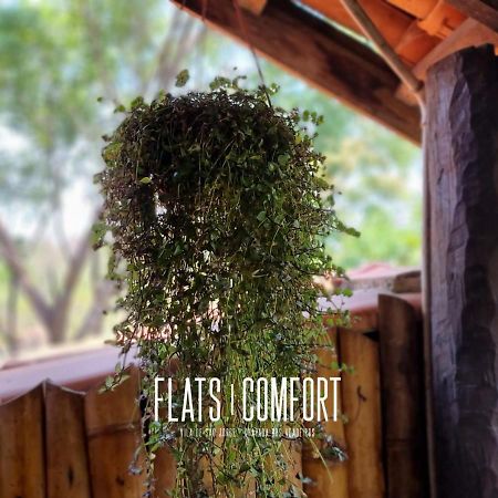 Hotel Novidade Flats Comfort Na Vila De Sao Jorge - Chapada Dos Veadeiros Exterior foto